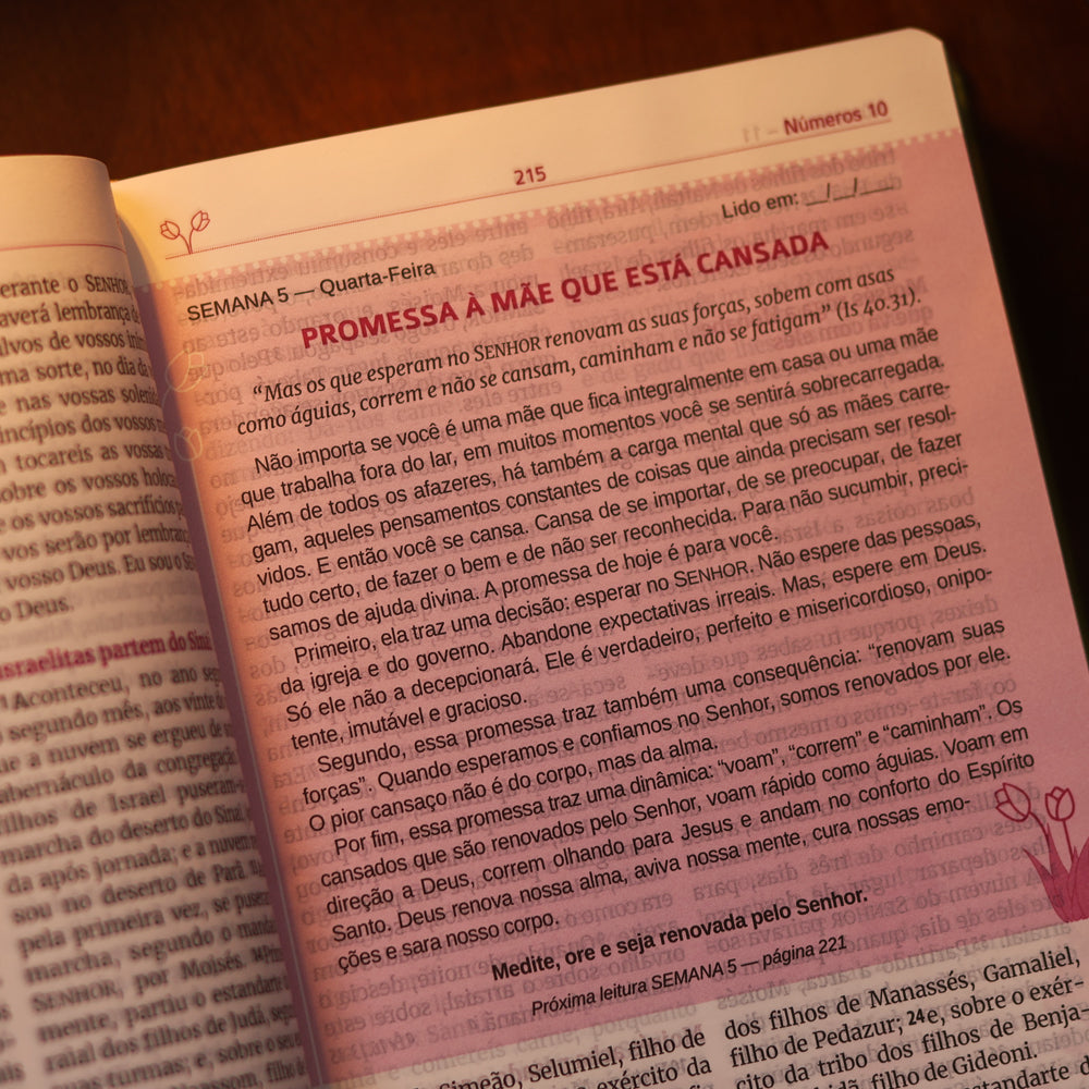 Bíblia Sagrada Mães da Aliança | ARA | Letra Normal | Capa Luxo Vinho Marfim