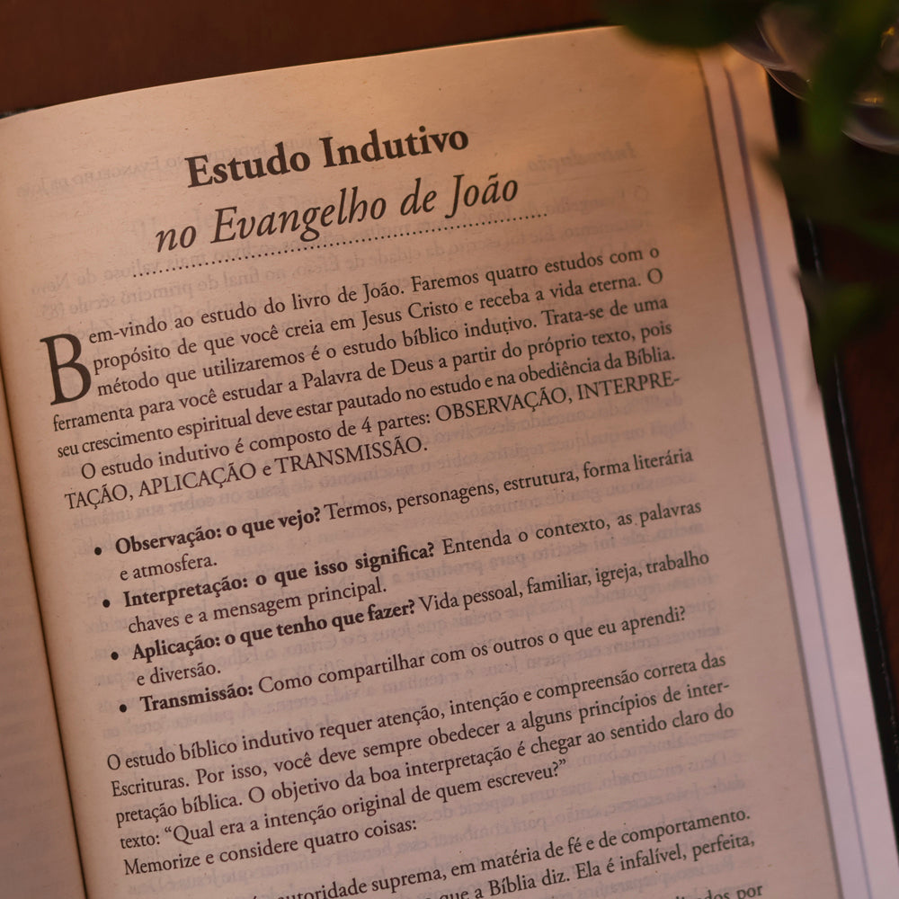 Bíblia Sagrada Retrato do Rei | ACF | Letra Normal | Capa Dura