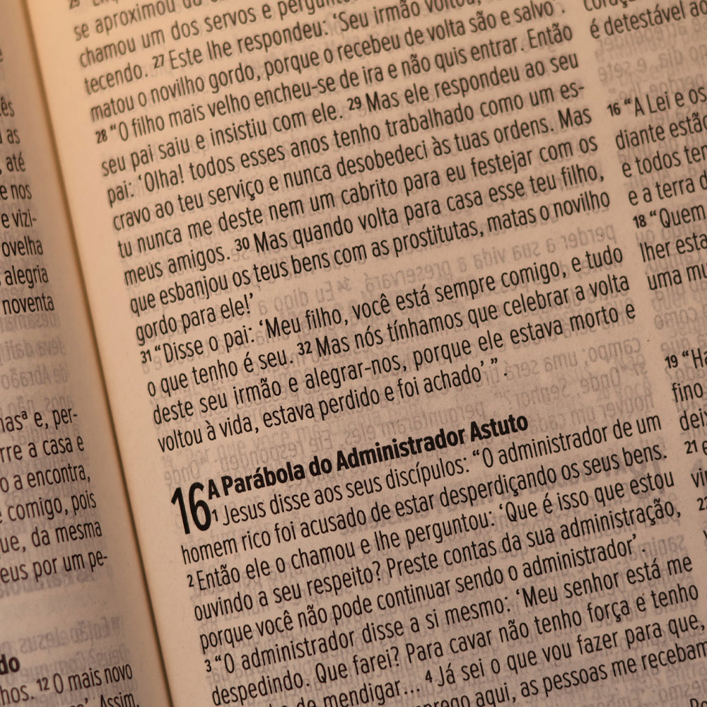 Bíblia Sagrada Slim | NVI | Letra Maior | Capa Luxo Pink