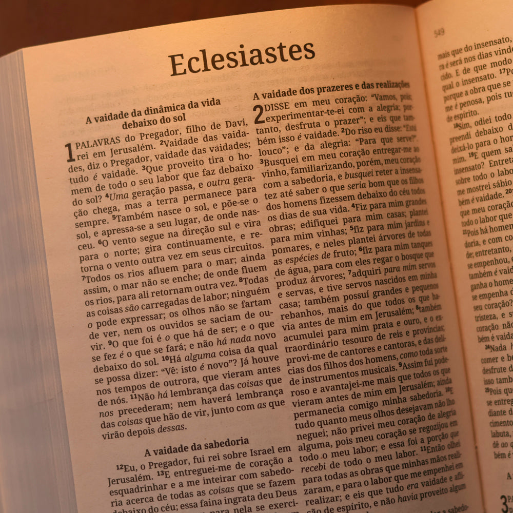 Bíblia Sagrada Sola Scriptura | King James | Letra Normal | Capa Brochura