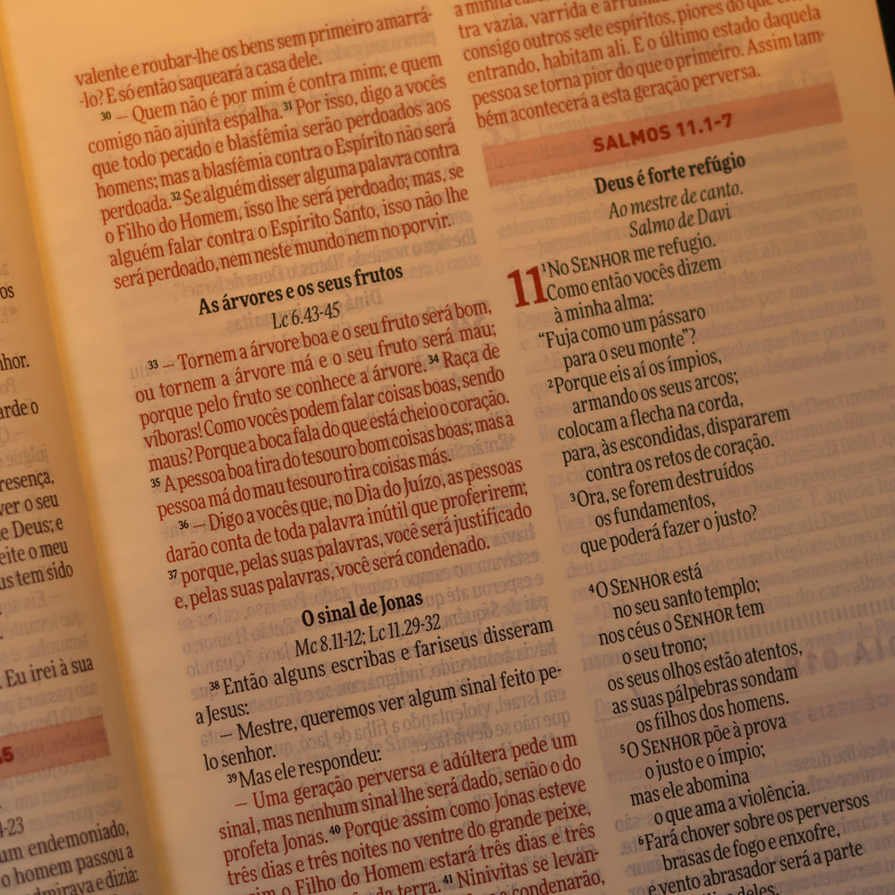 Bíblia Todo Dia | NAA | Espaço Para Anotações | Capa Dura Rosê