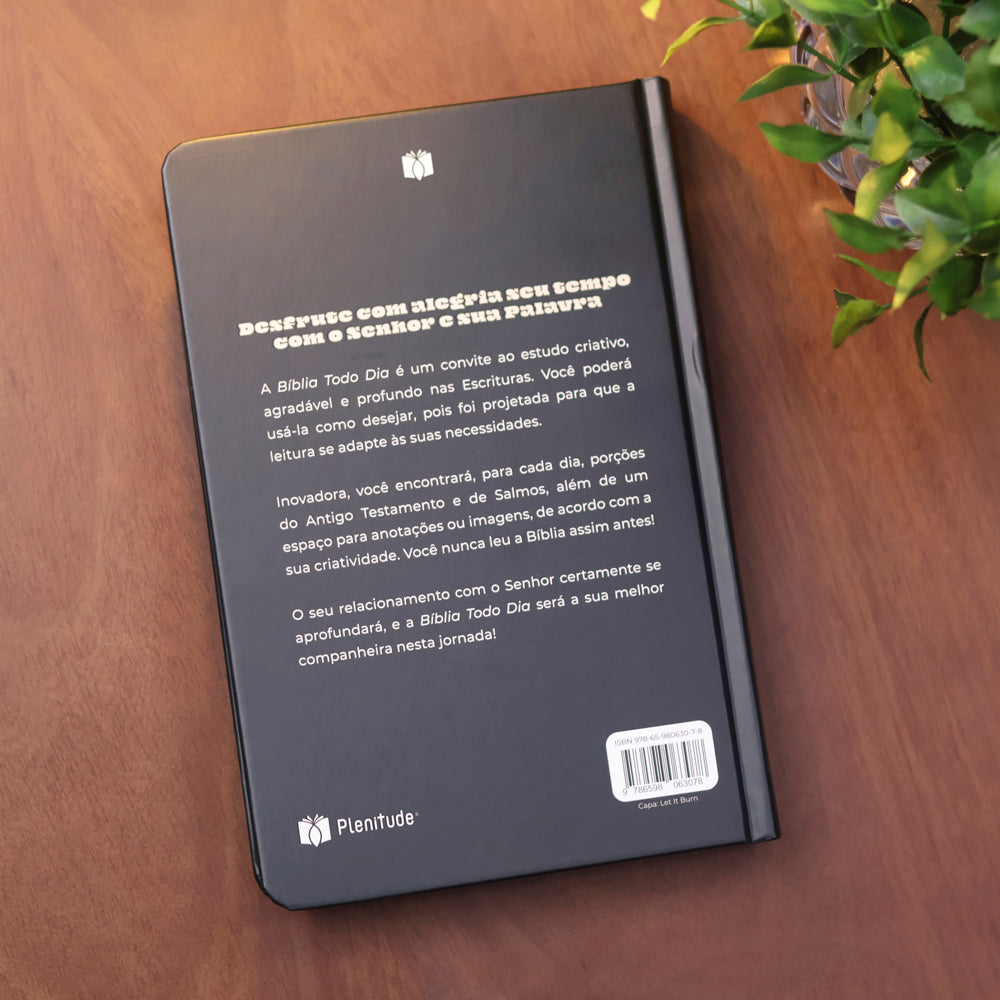 Bíblia Todo Dia com Espaço para Anotações | AM | Letra Normal | Capa Dura Let It Burn