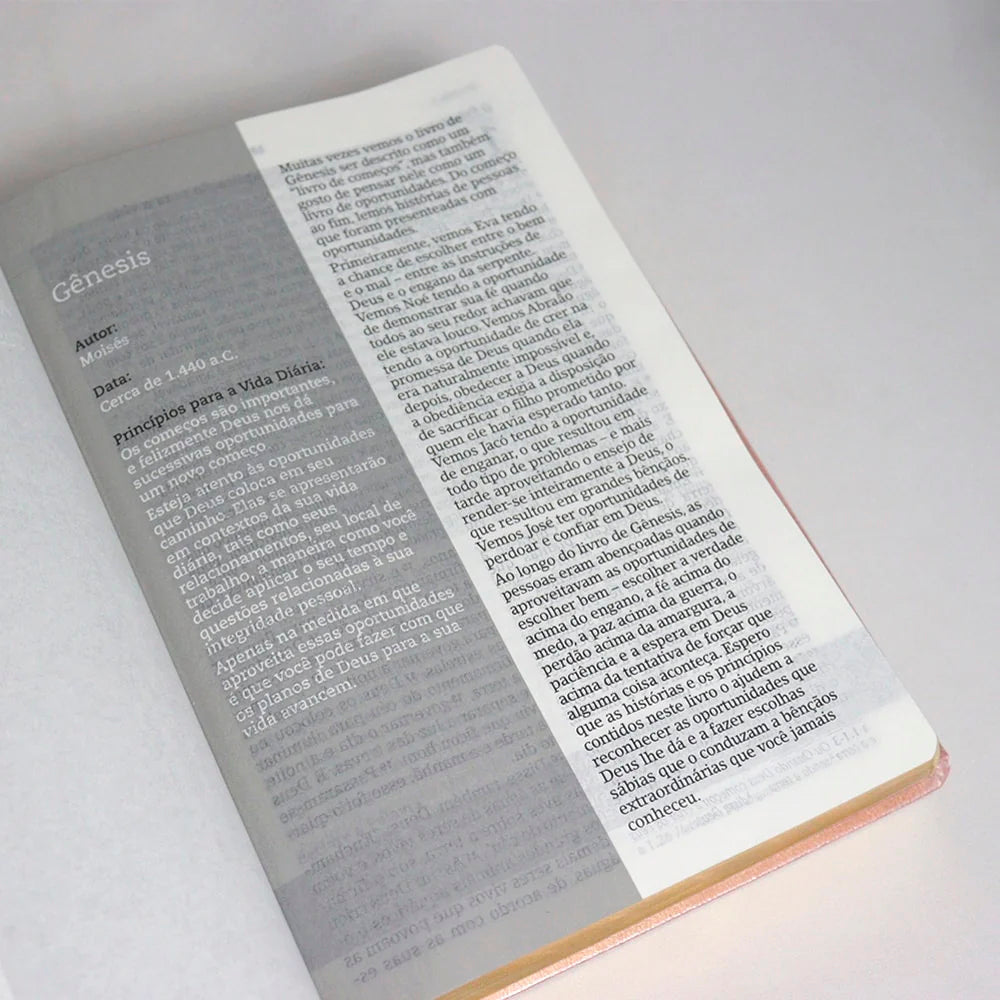 Kit Bíblia De Estudo Joyce Meyer | NVI | Letra Grande | Capa Luxo Rosa + Mais Forte e Corajosa | Karina Bacchi