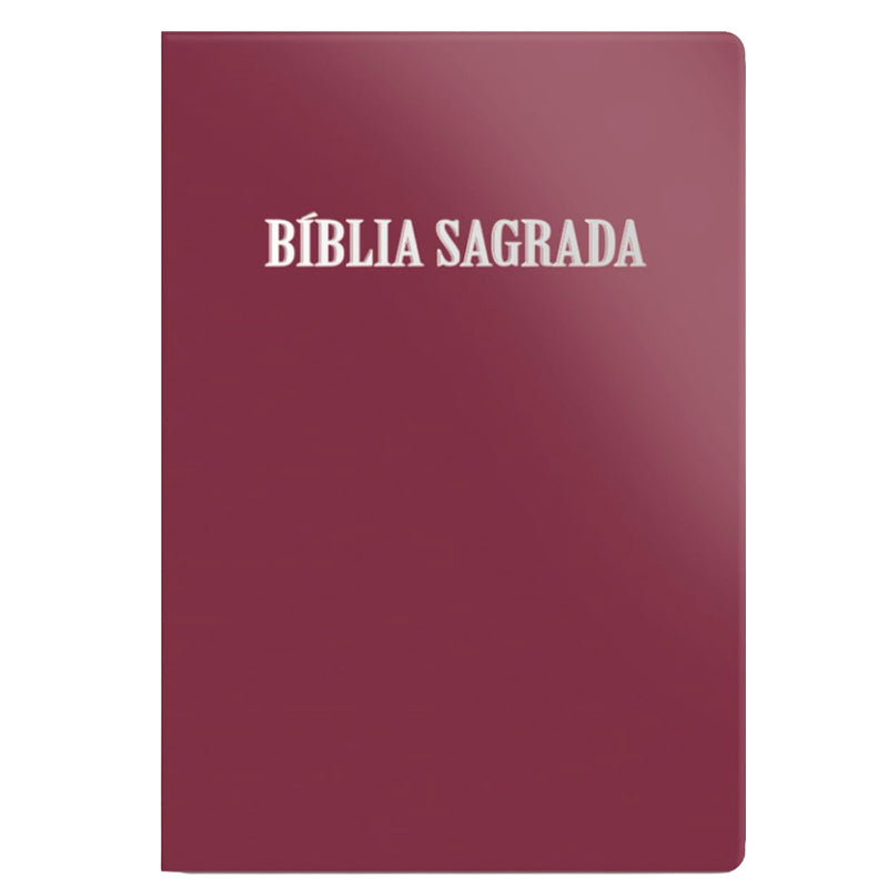 Bíblia Sagrada | ACF | Letra Normal | Capa Luxo Rosê