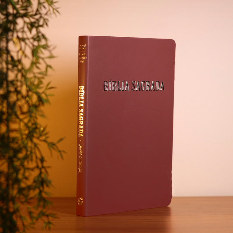 Bíblia Sagrada | ACF | Letra Normal | Capa Luxo Rosê