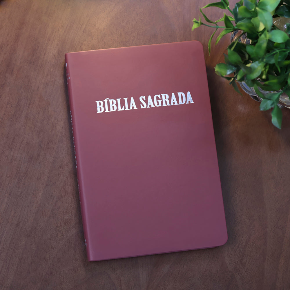 Bíblia Sagrada | ACF | Letra Normal | Capa Luxo Rosê
