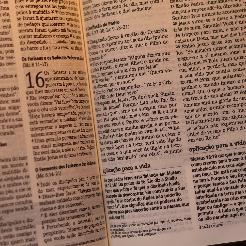 Bíblia de Estudo Joyce Meyer | NVI | Letra Grande | Capa Nude