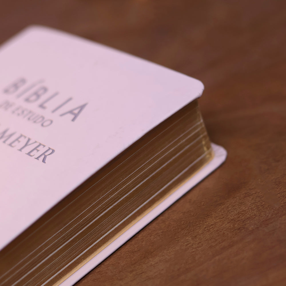 Bíblia de Estudo Joyce Meyer | NVI | Letra Grande | Capa Nude