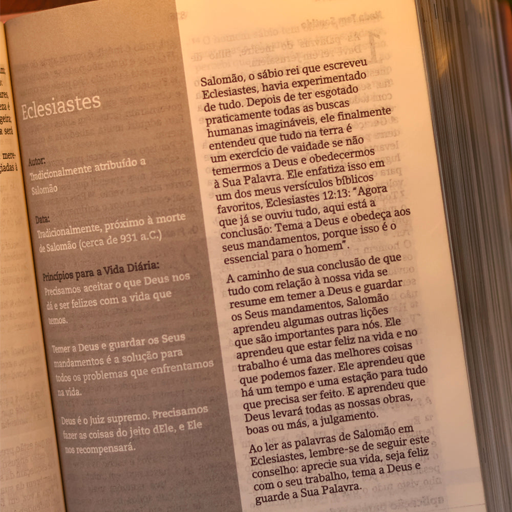 Bíblia de Estudo Joyce Meyer | NVI | Letra Grande | Capa Nude