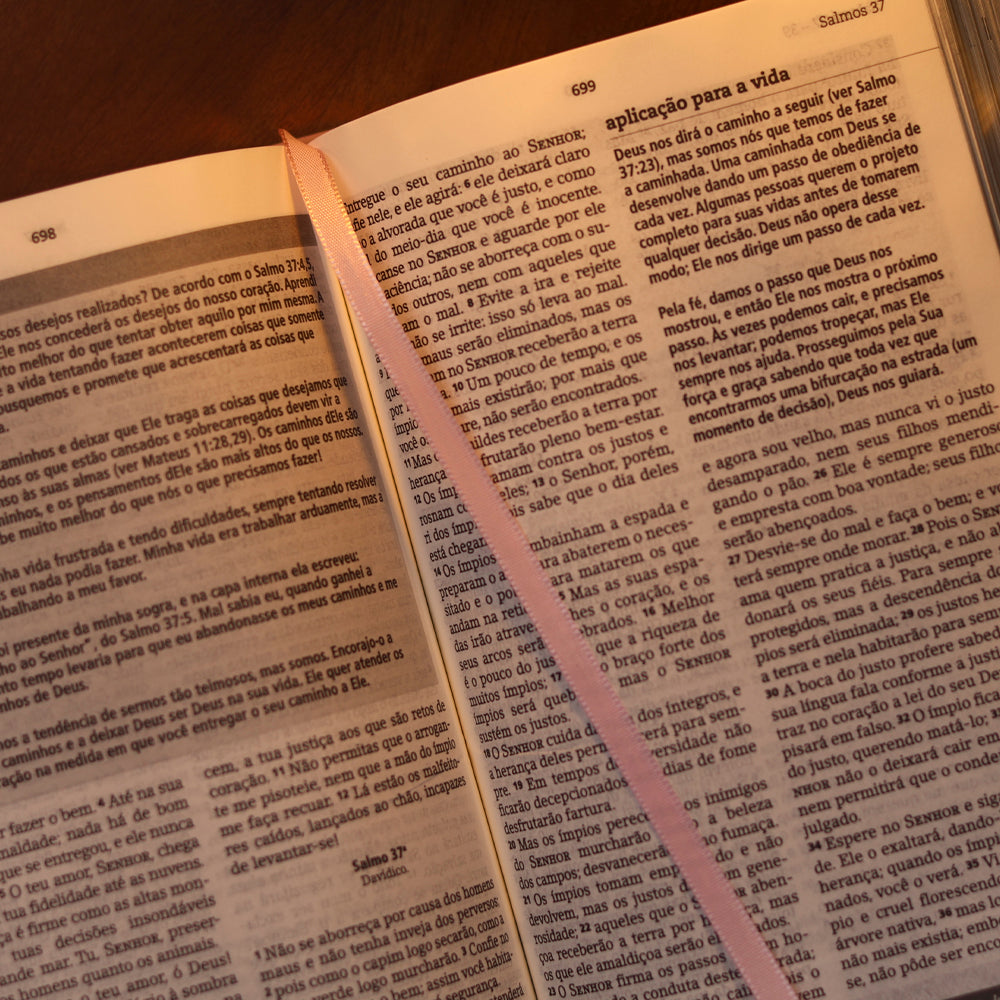Bíblia de Estudo Joyce Meyer | NVI | Letra Grande | Capa Nude