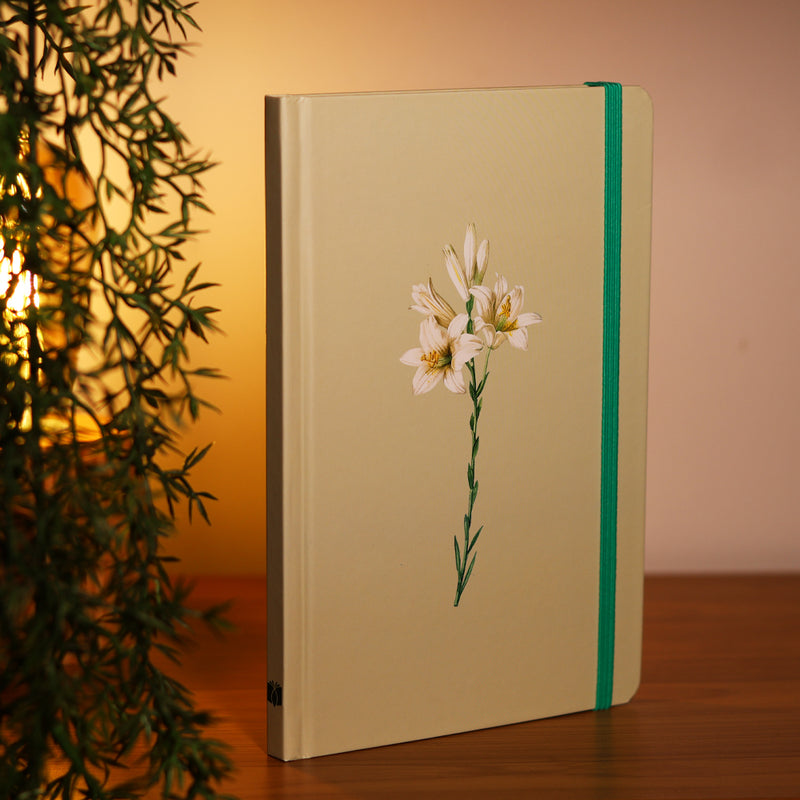 Caderno Moleskine Verde | Com Pauta | Lírios