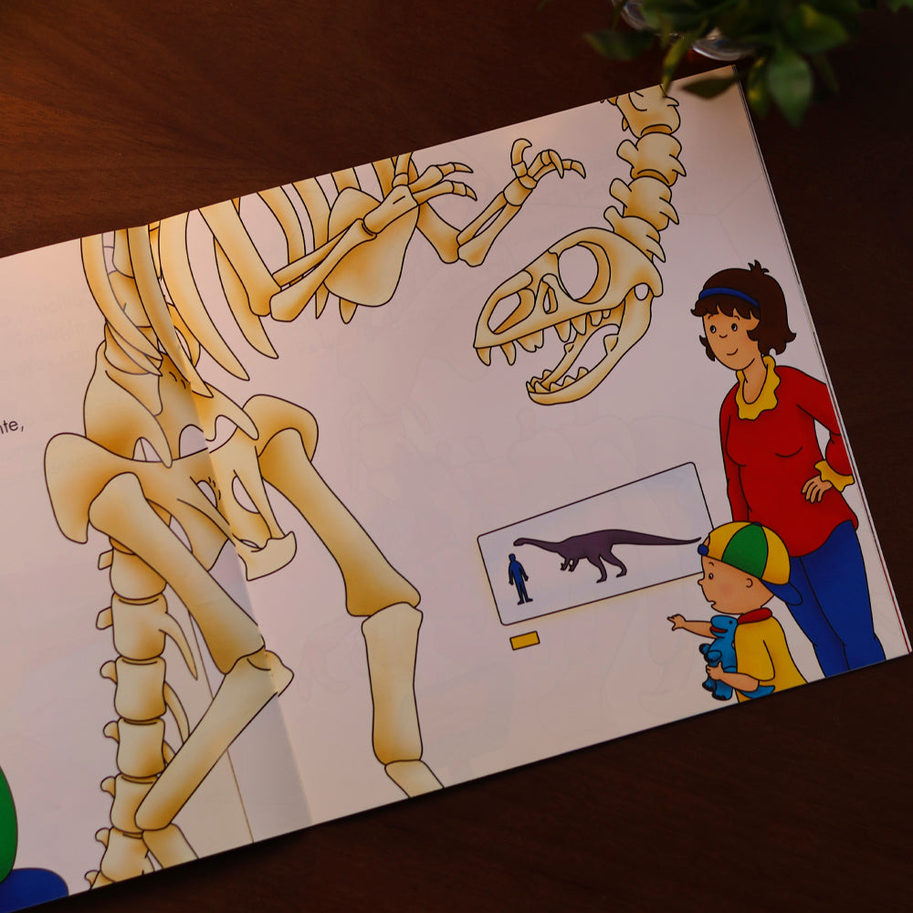 Caillou | O Museu dos Dinossauros