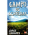 Livro "Campo de Lentilhas" de Jorge Linhares, capa azul com campo verde de lentilhas e montanhas. — Plenitude
