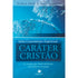 Livro Caráter Cristão, Série Crescimento Espiritual, de Andrea Sterk e Peter Scazzero, capa azul com galhos cobertos de neve. — Plenitude
