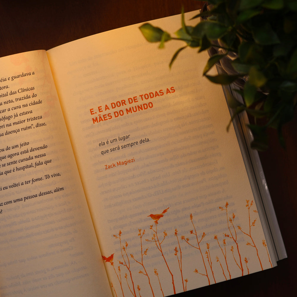 Coleção Ana Claudia Quintana Arantes | Box Com 4 Livros