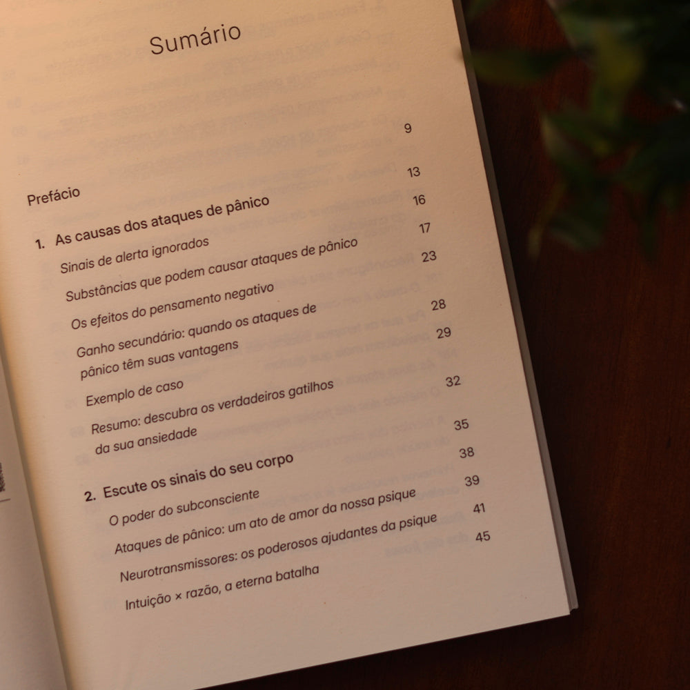 Como Vencer o Pânico | Klaus Bernhardt