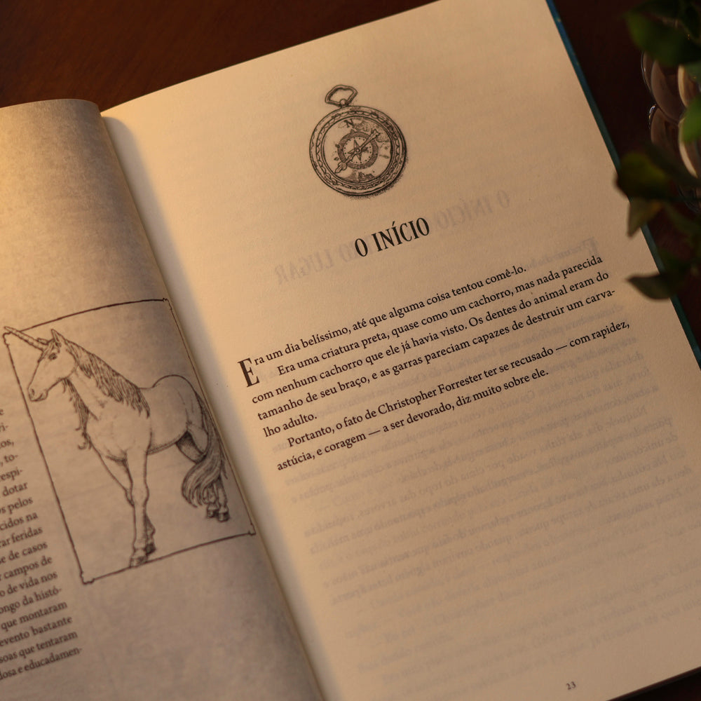 Criaturas Impossíveis | Katherine Rundell