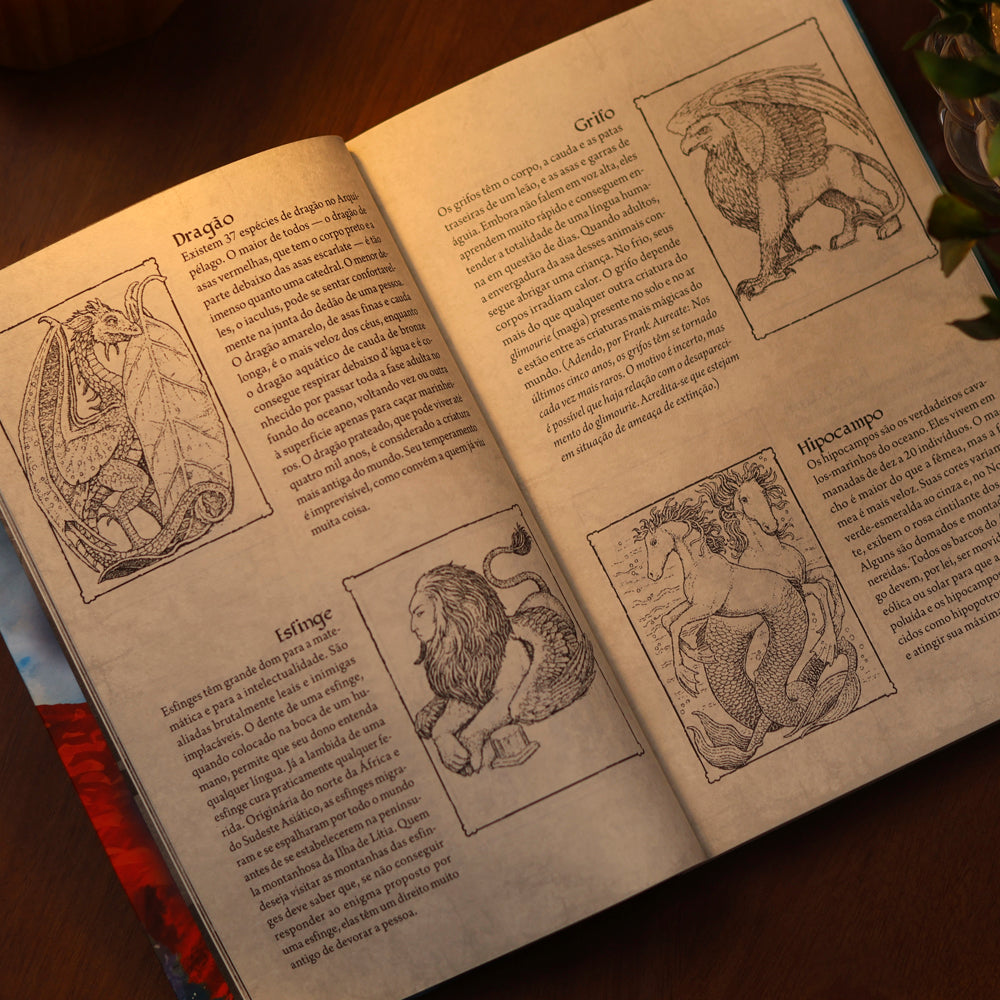 Criaturas Impossíveis | Katherine Rundell