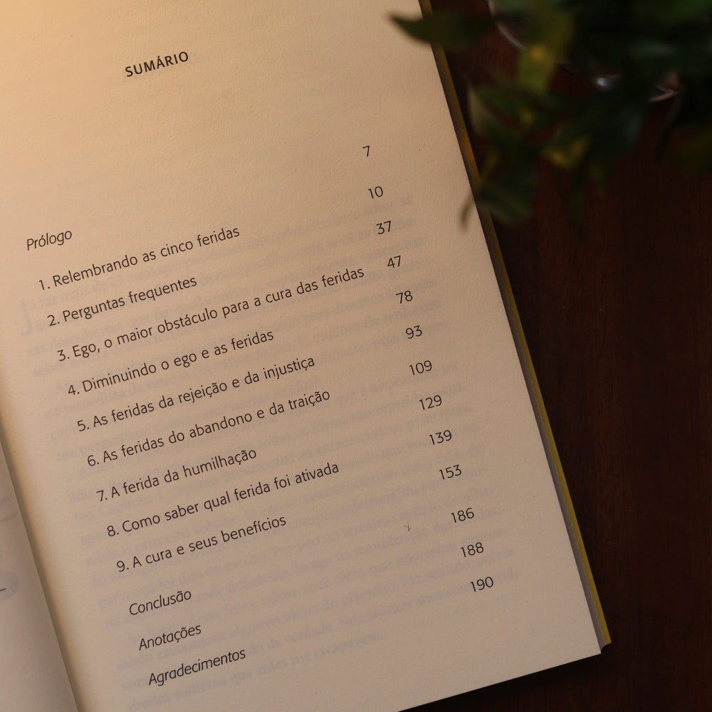 Curando as Cinco Feridas Emocionais | Lise Bourbeau