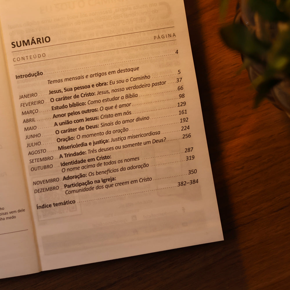 Kit 10 Livros | Devocional Pão Diário | Vol.30 Leão | Não Tenha Medo