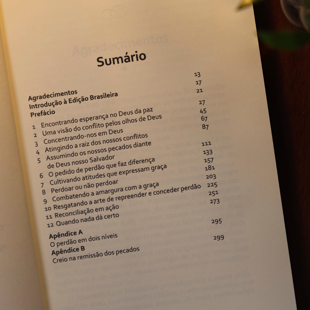 Em Busca da Paz | Robert D. Jones