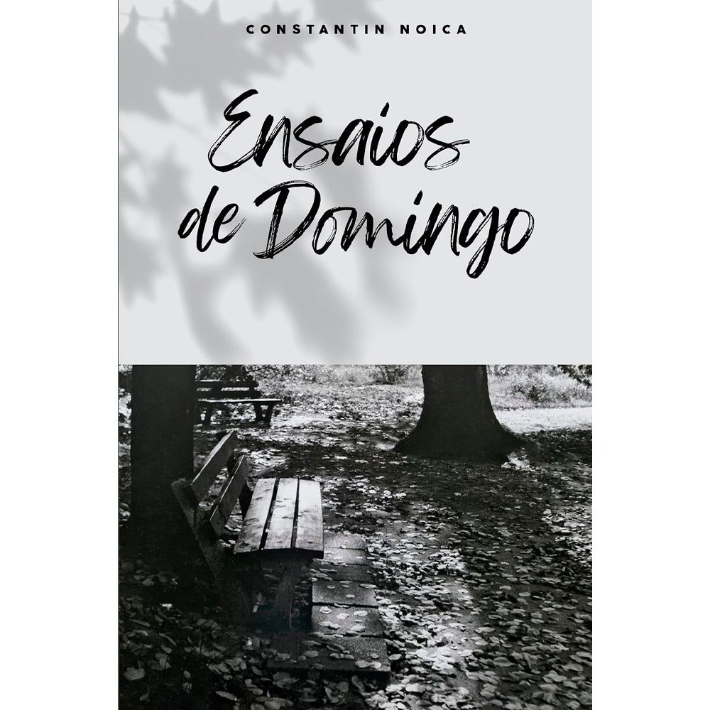 Livro Ensaios de Domingo, de Constantin Noica, capa com foto de banco em parque e folhas secas. — Plenitude