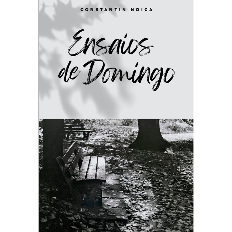 Livro Ensaios de Domingo, de Constantin Noica, capa com foto de banco em parque e folhas secas. — Plenitude