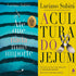 Kit Até que Nada Mais Importe e A Cultura do Jejum, de Luciano Subirá, capas azul e amarela. — Plenitude