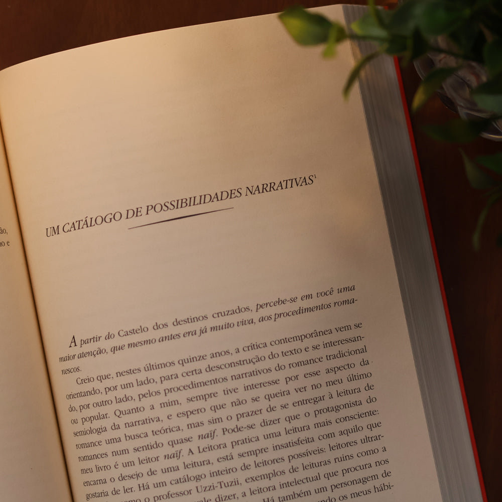 Nasci na América | Italo Calvino