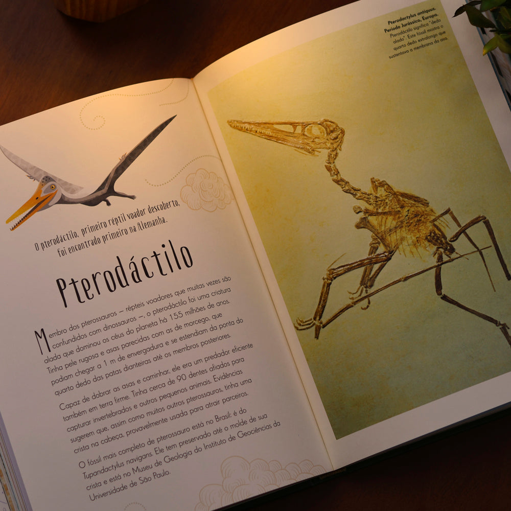O Livro dos Dinossauros e da Vida Pré-Histórica | Anusuya Chinsamy-Turan
