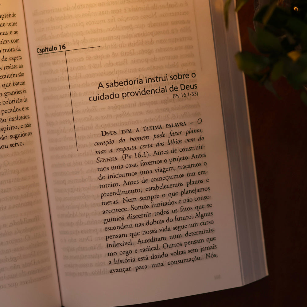 Provérbios | Comentários Expositivo | Hernandes Dias Lopes