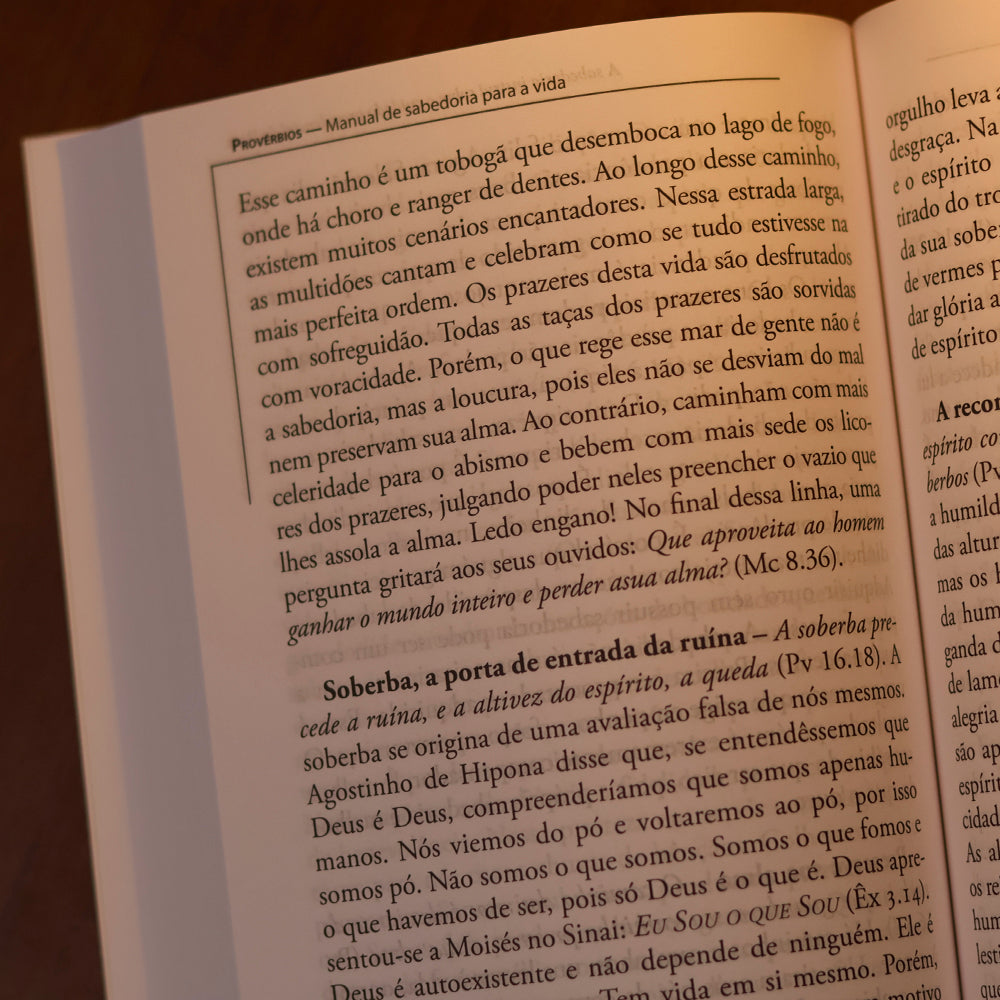 Provérbios | Comentários Expositivo | Hernandes Dias Lopes