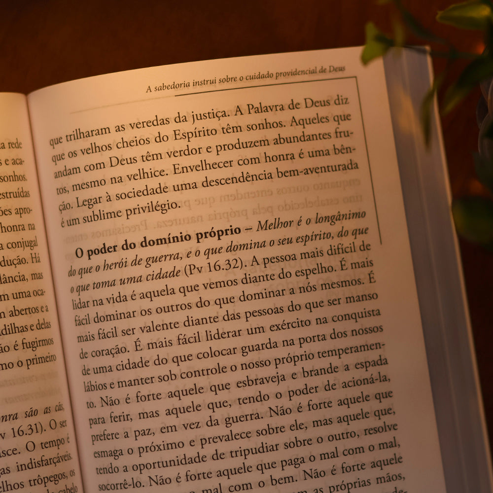 Provérbios | Comentários Expositivo | Hernandes Dias Lopes