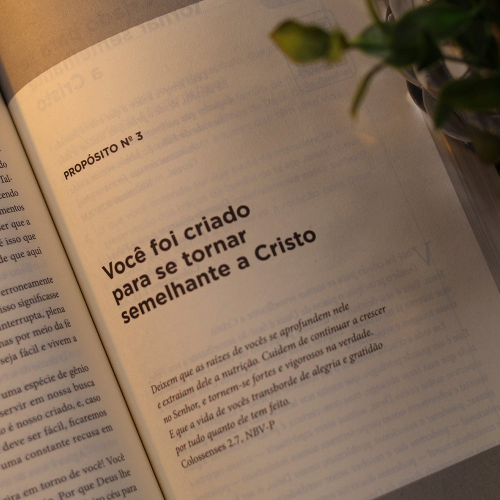 Kit Uma Vida com Propósitos Rick Warren + O Poder da Benção Alan Wright