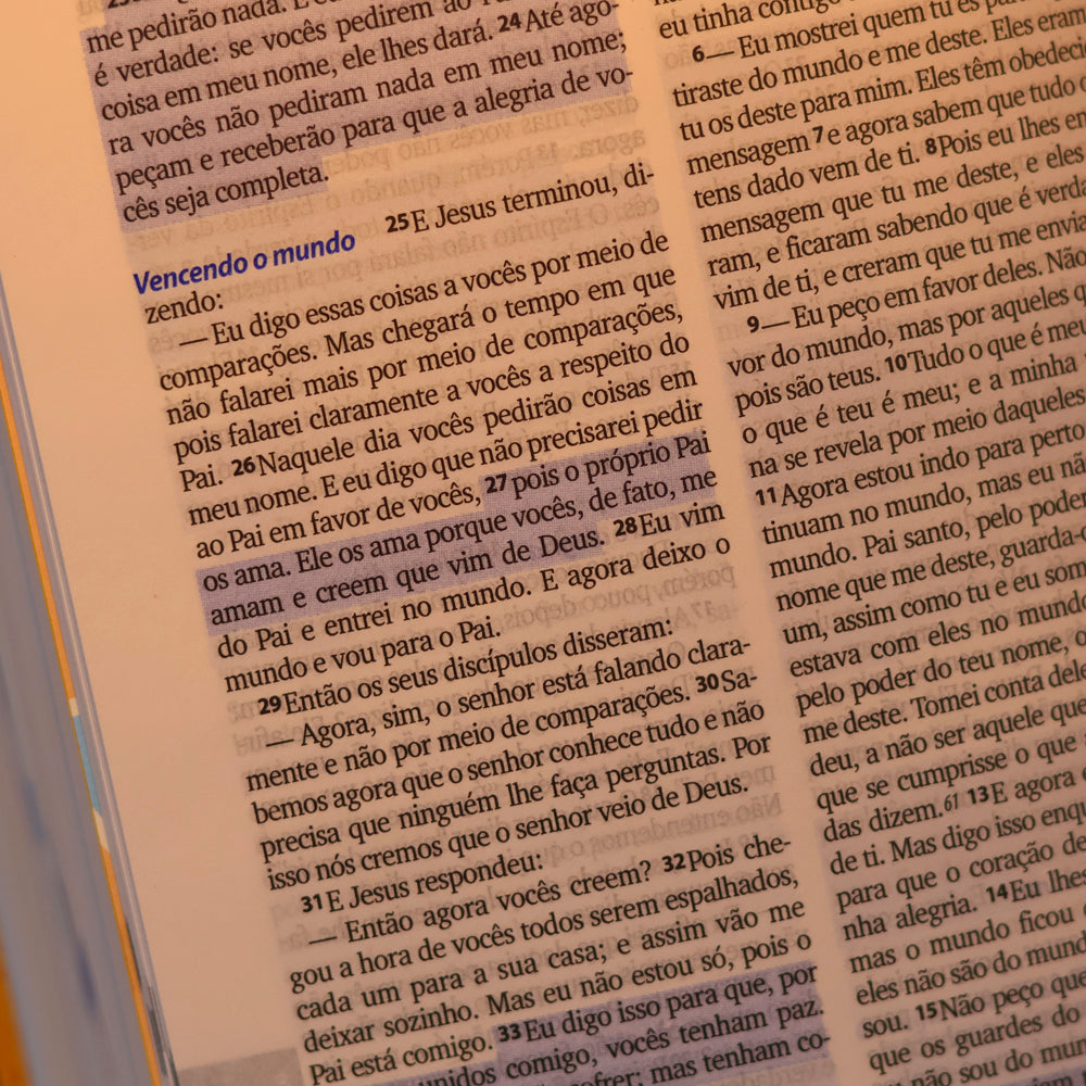 Bíblia Sagrada | NTLH | 3 Palavrinhas | Capa Dura Amarela