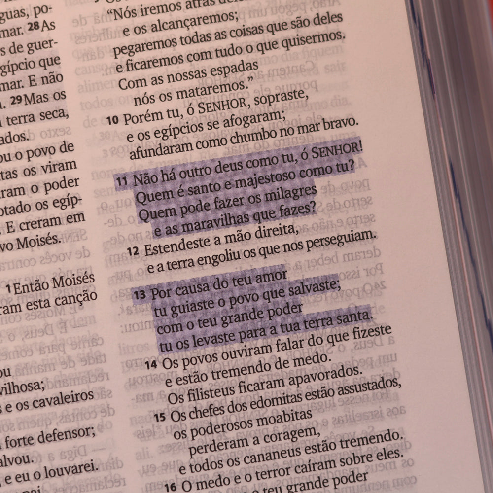 Bíblia Sagrada | NTLH | 3 Palavrinhas | Capa Dura Vermelha