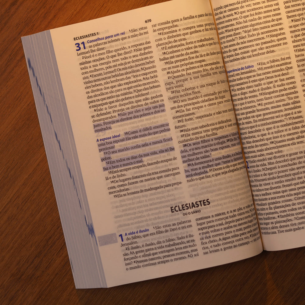 Bíblia Sagrada Semente | NTLH | Letra Maior | Capa Brochura