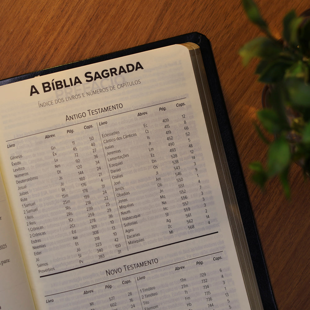 Bíblia Slim Cruz | NVI | Capa Luxo Preta