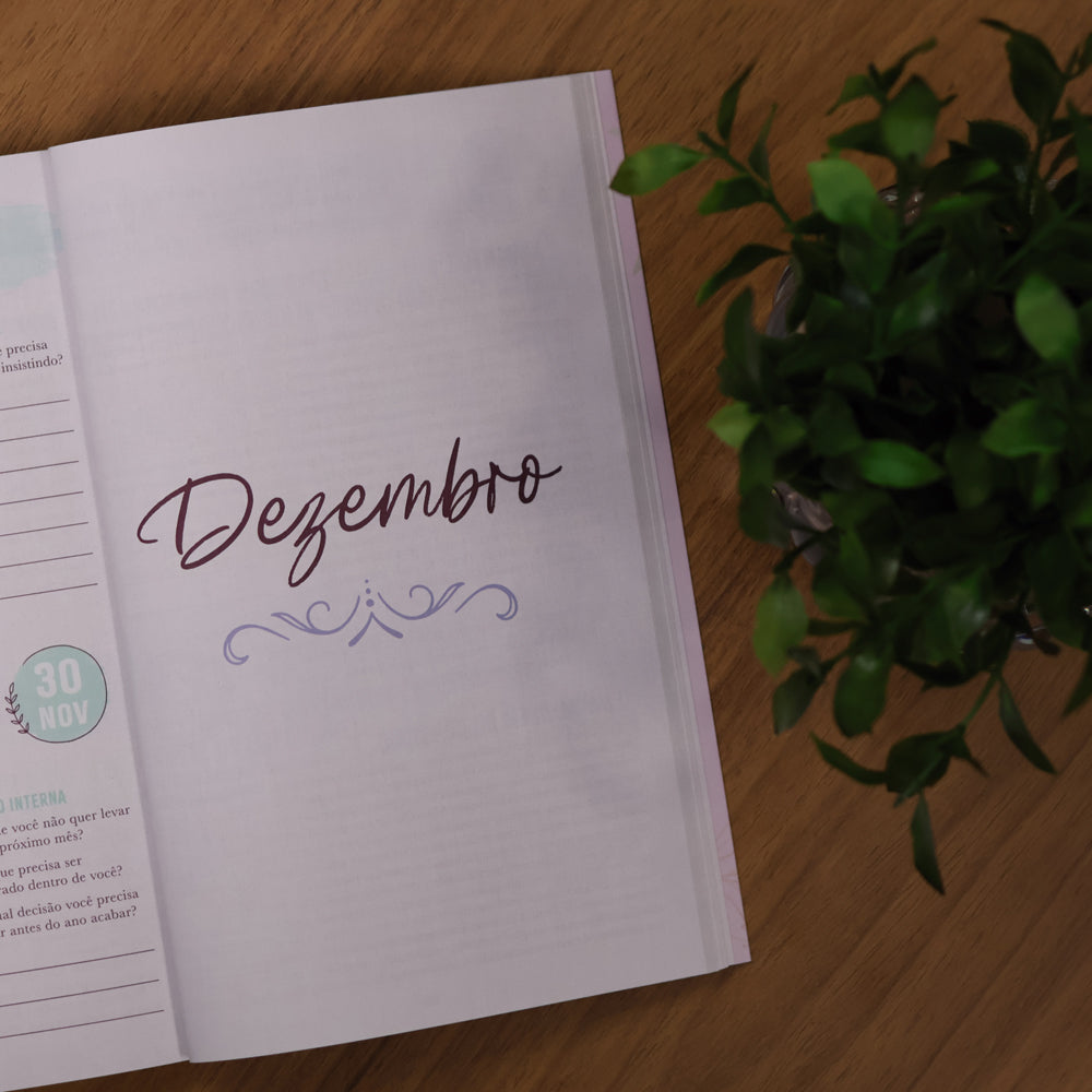 Devocional Mulheres Com Deus | 365 Dias Para Vencer