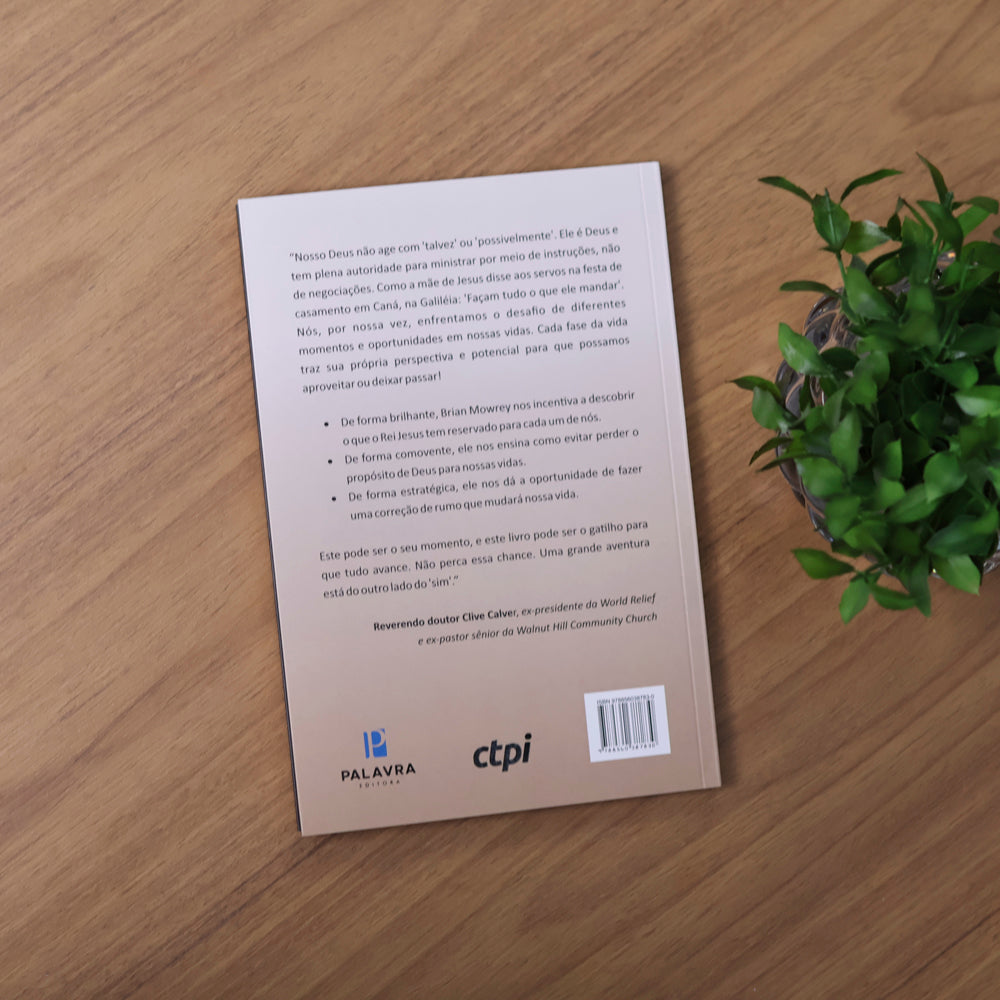 Do Outro Lado do Sim | Brian Mowrey