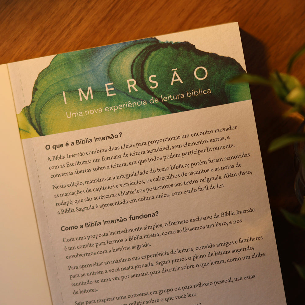 Imersão | Começos