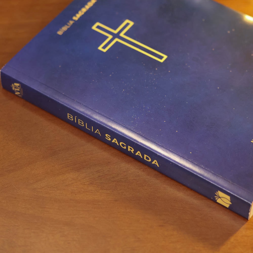 Kit 10 Bíblias Sagrada Salvos Pela Graça | NVA | Capa Brochura Azul · foto 4