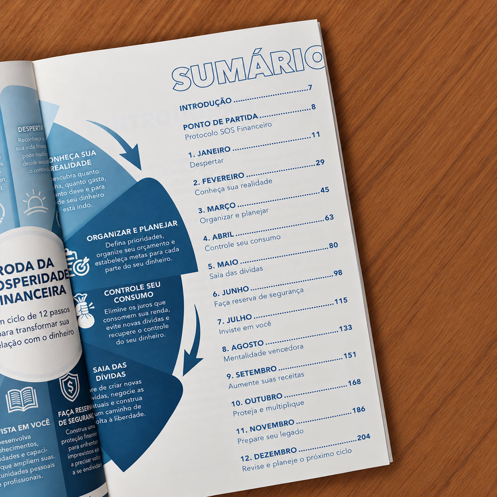 Capa de 365 Dias de Inteligência Financeira | Paulo Houch — item do Kit 365 Dias de Inteligência Financeira | Paulo Houch + O Segredo dos Homens Mais Ricos da Bíblia | Magno Paganelli · foto 5