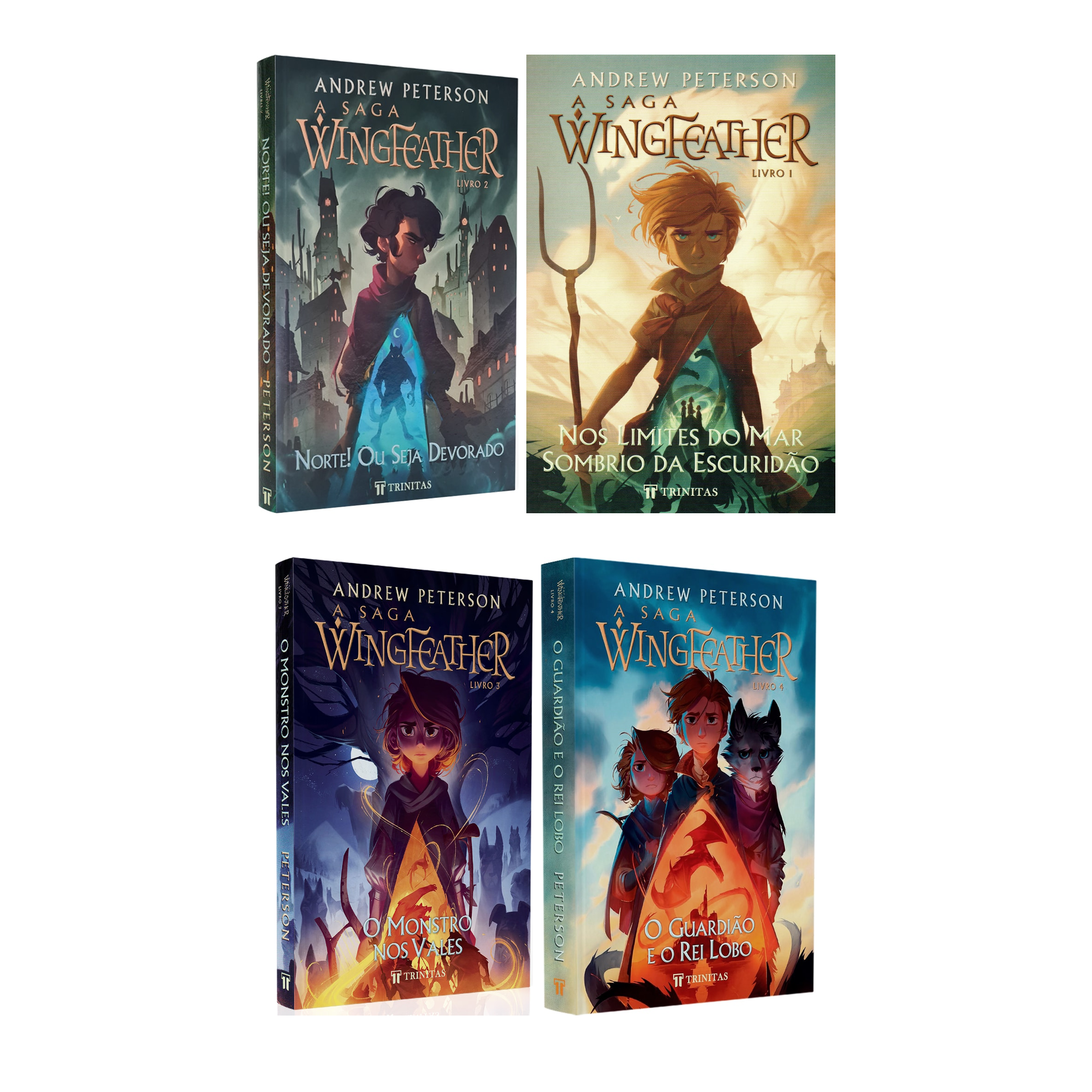 Kit A Saga Wingfeather | Nos Limites do Mar Sombrio da Escuridão + Norte! Ou Seja Devorado + O Monstro Nos Vales + O Guardião e o Rei Lobo | Andrew Peterson