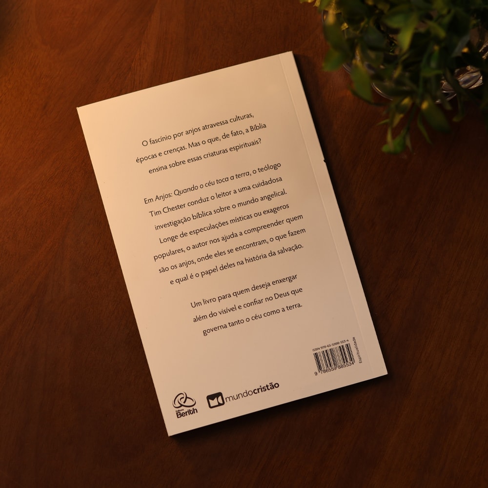 Capa de Anjos | Tim Chester — item do Kit Anjos + Dragões e Matadores de Dragão | Tim Chester · foto 10