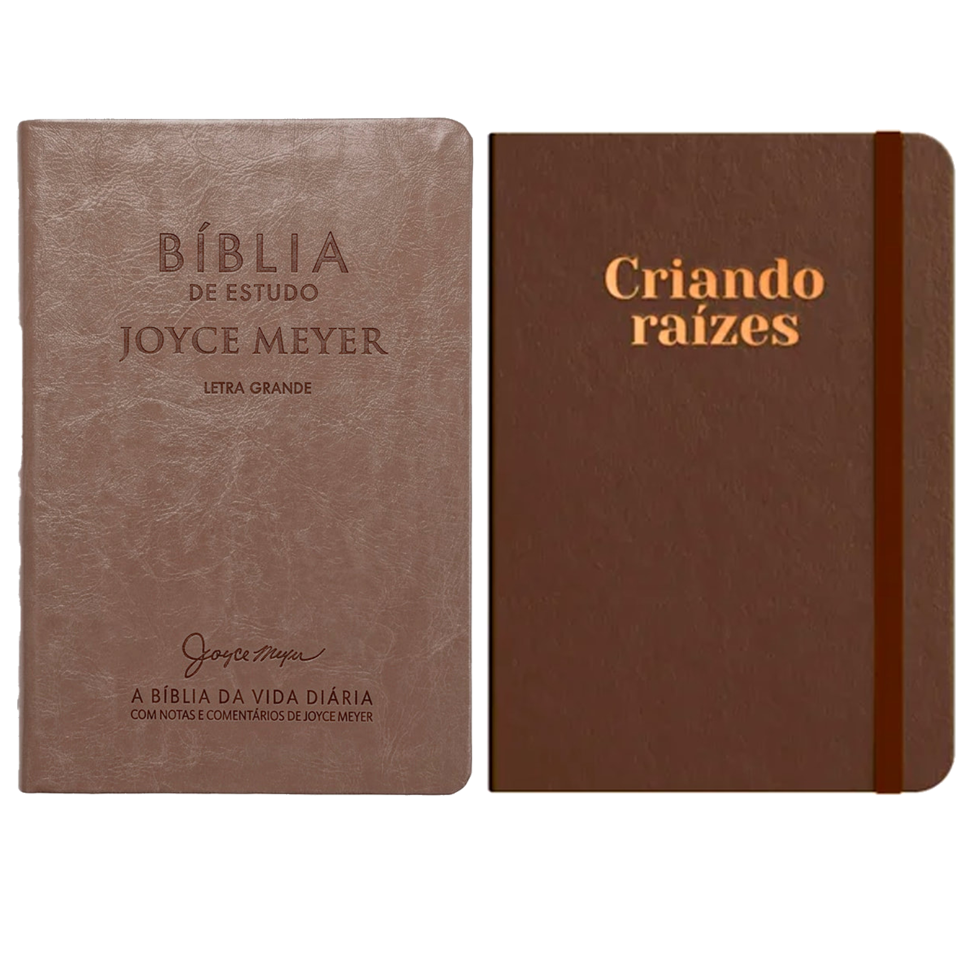Kit Bíblia De Estudo Joyce Meyer | NVI | Letra Grande | Capa Marrom Claro + Moleskine Criando Raízes | Bronze | Viviane Martinello