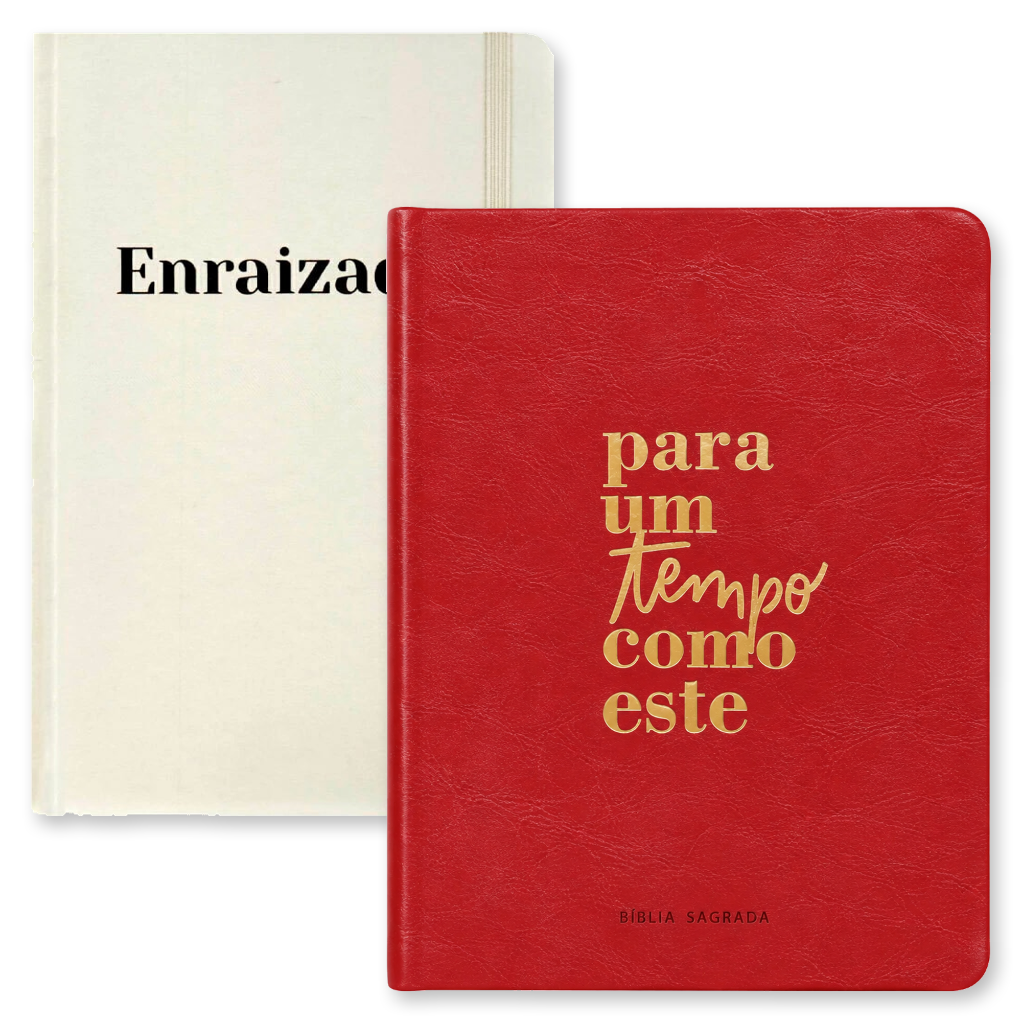 Kit Bíblia Mulheres NVT Para Um Tempo Como Este + Moleskine Enraizada | Viviane Martinello