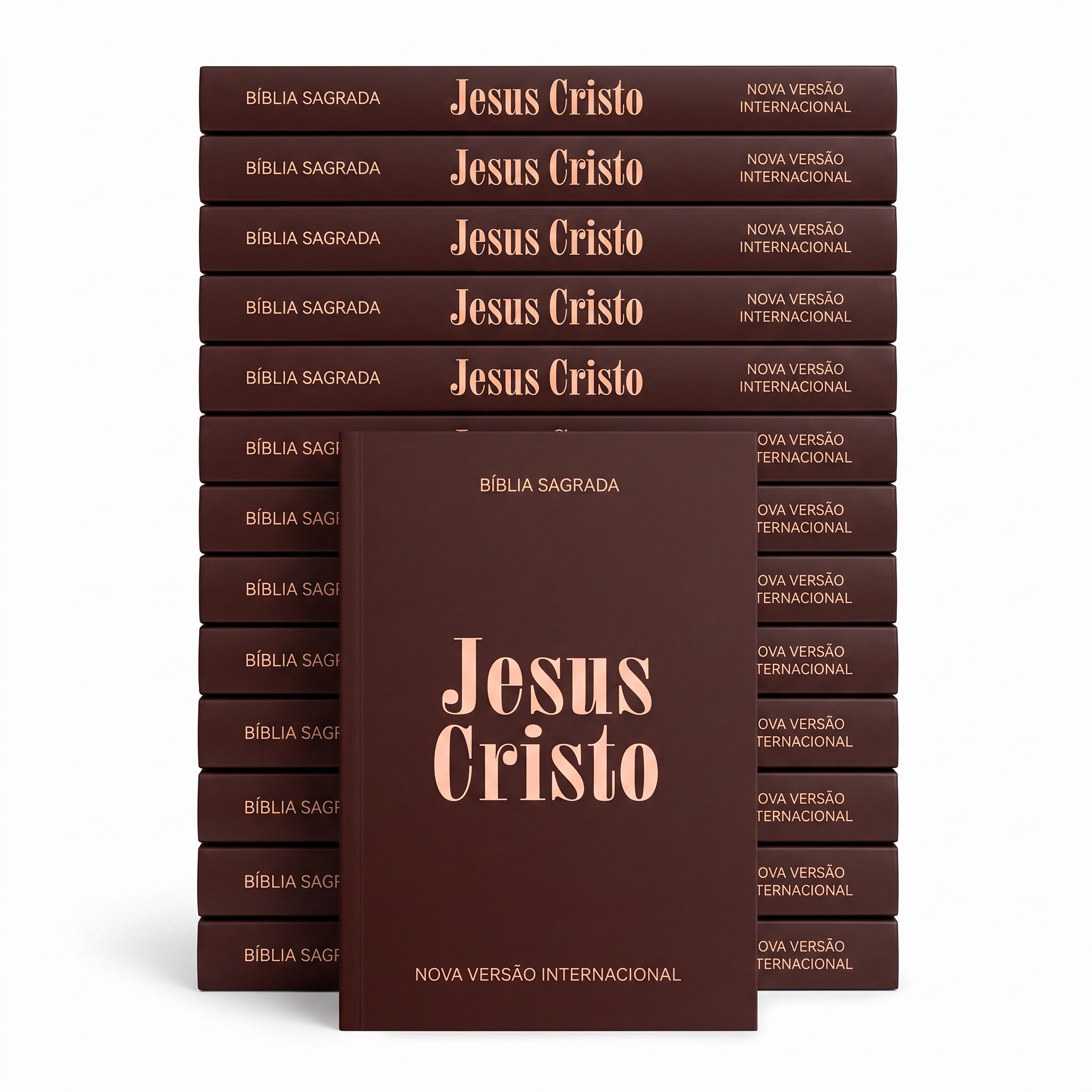 Kit Bíblia Sagrada Jesus Cristo | NVI | Capa Brochura Marrom 10un