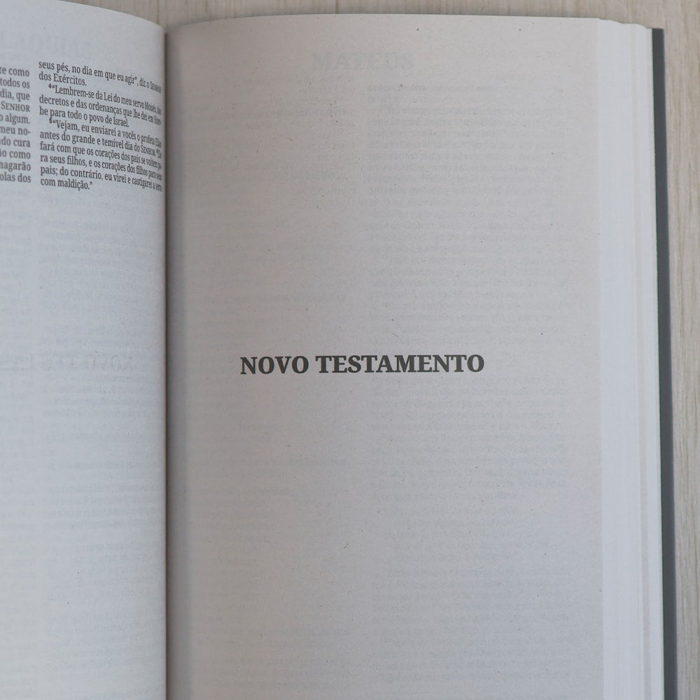 Capa de Bíblia Sagrada Leão Soberano | NVI | Capa Brochura — item do Kit Bíblia Sagrada Leão Soberano | NVI | Capa Brochura 10un · foto 9