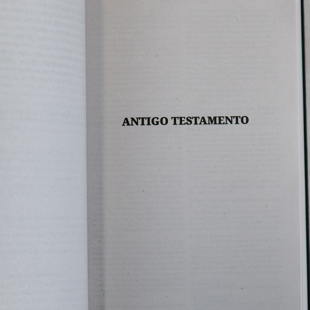 Capa de Bíblia Sagrada Leão Soberano | NVI | Capa Brochura — item do Kit Bíblia Sagrada Leão Soberano | NVI | Capa Brochura 10un · foto 7